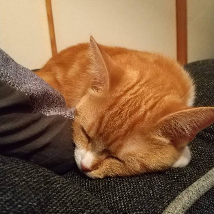 2a40f49d 685d 4017 aaf7 bafeb413c1b8 1627731126435