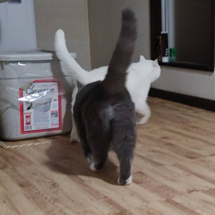 2a410888 70df 40ae b18d 756e78e39981 1660902726571