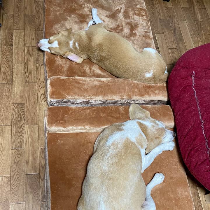 2a41564c 5642 45e7 92db 7199294c8075 1598504729616