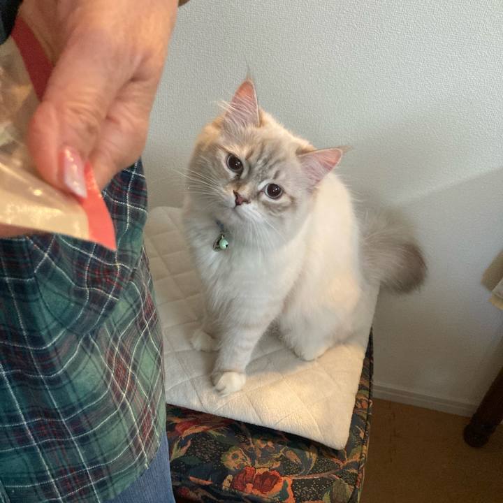 2a417cc0 65c9 4349 b31d f3d4f3bd04bf 1680332144640