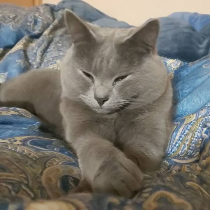 2a41af85 ed20 482c 9b22 669908e1ab8d 1575457002306