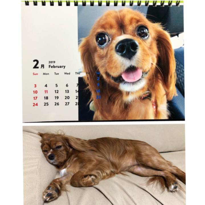 2a41cd59 f7d4 473b adfc 1ab44220ca14 1549453400016