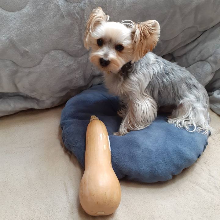 2a41ec33 91c3 46e1 b6e9 b66a5a549aa6 1667176482795