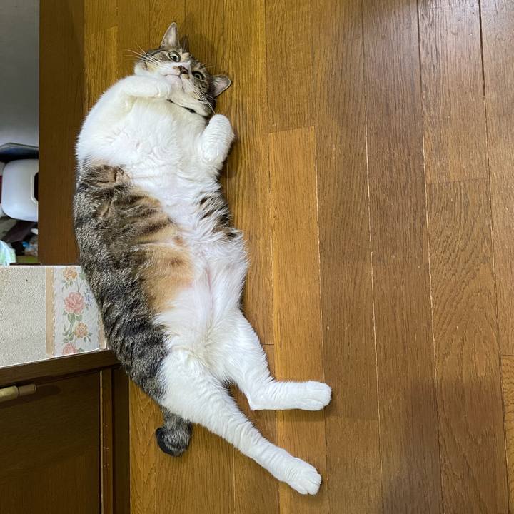 2a42229c be5a 4fb1 a988 a4db53cdc751 1753138440052