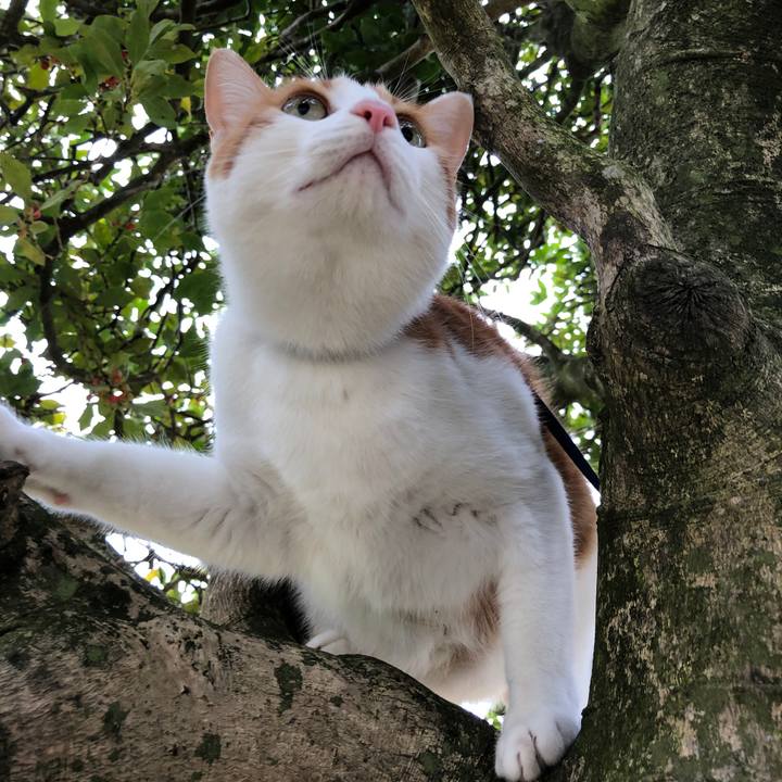 2a422f4a 9ab6 4484 99eb 15815e409c09 1542872407763