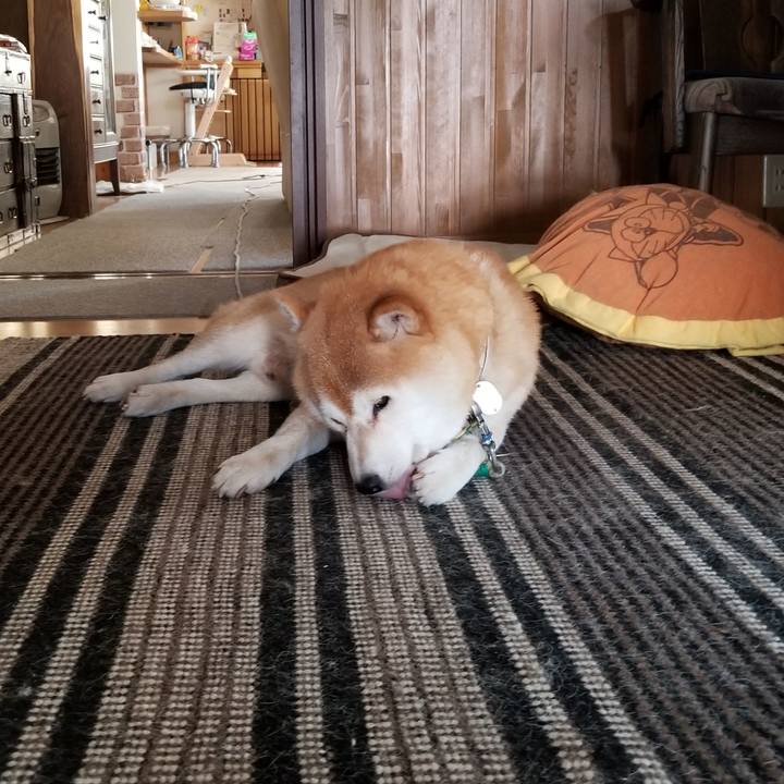 2a428b36 aa34 42df a9e4 d5558ce7037e 1626827937881