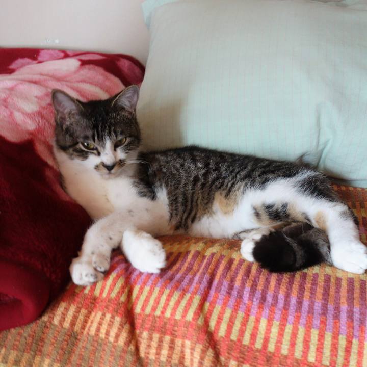 2a42a64a 512c 47e7 a777 fe6a68b76be8 1761913474865