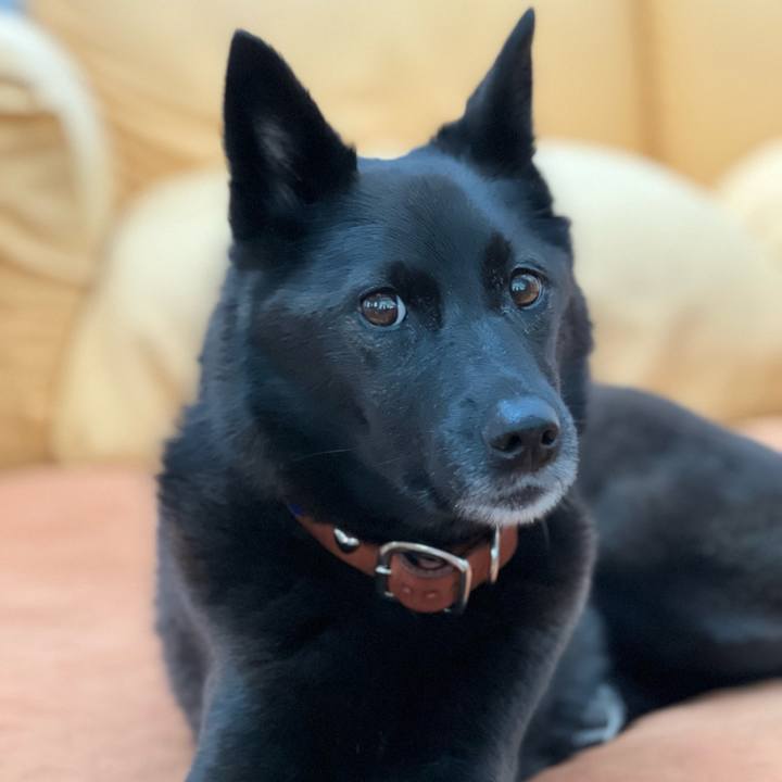 2a42da1d c5cc 40d2 baa7 a62f903de450 1696992806703