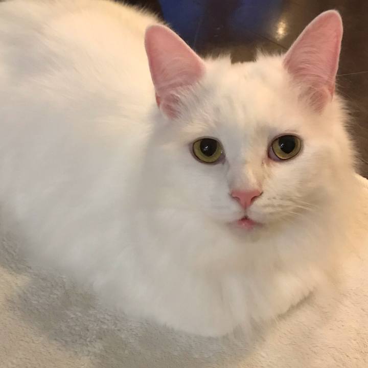 2a42e942 9096 47a2 a48f a81e08001ec6 1549538832694