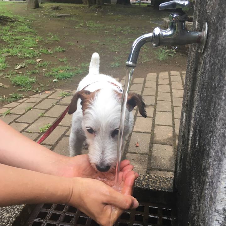 2a430ba2 9e87 472c 8a7f 51b763b4ade0 1532467624116