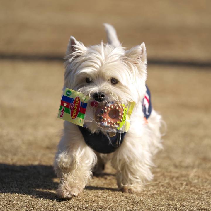 2a4322f3 7cfb 4d15 9e4d aeb64690768f 1515329499443