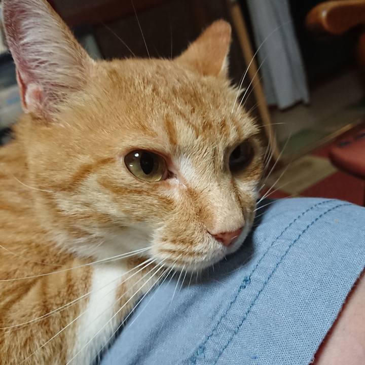 2a4350fe 0900 4be0 8d1d 089c3d47f7c0 1595848753455