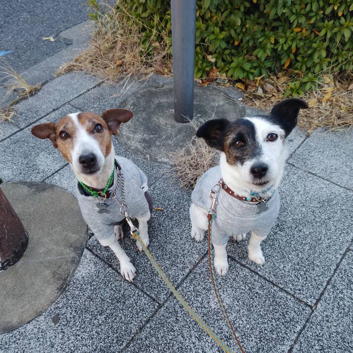 2a43592e 047f 4e97 bd58 90777631b94b 1737152872002