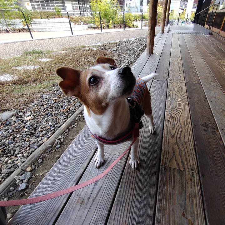 2a436b6c 2551 468a b31c b2dad4431c52 1763339689906