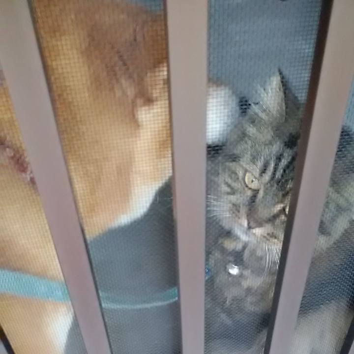 2a43911c c58c 4457 a0b2 8f27f35dfc51 1661864525343