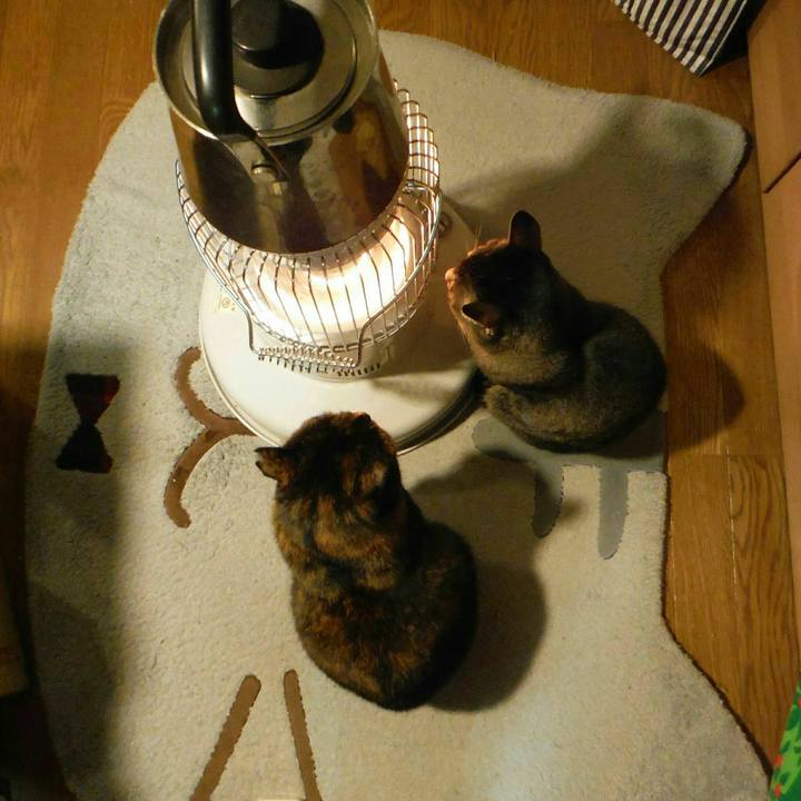 2a43cbfc 01e3 42d6 a1ab c7052a633808 1549105313836