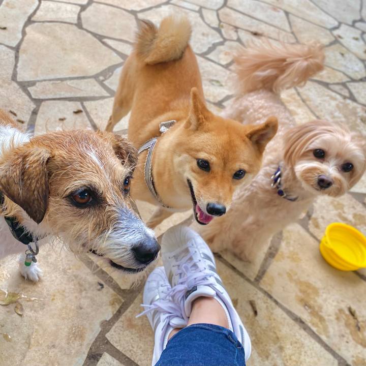 2a43d5f5 de1e 4910 b59e bf42eaf15eb7 1633444053431