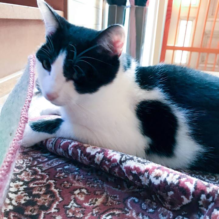 2a43f07a 42cb 4fbb 9ffb f2054cbb4dab 1510394338214