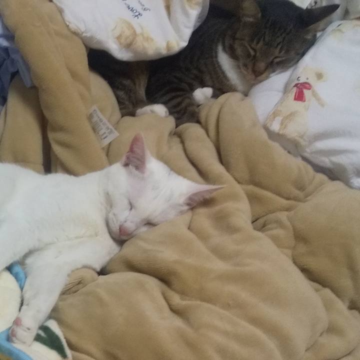 2a440d41 cb6a 4c7a 990e 610503269796 1707123727272