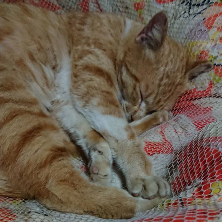 2a445346 0773 4fa9 b712 4d23c80c99f1 1554994668167