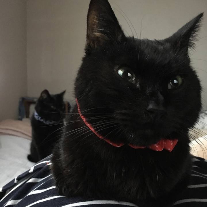 2a446086 2f65 40c9 91d4 5ad6bbf24b39 1553115357074