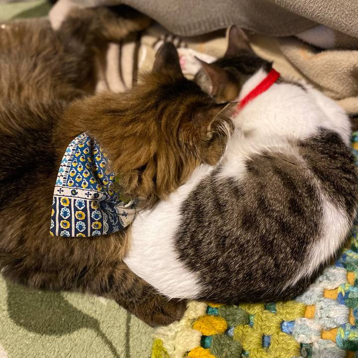 2a4484ac 3c91 4eb8 99f9 c106501ad3c3 1704976193318