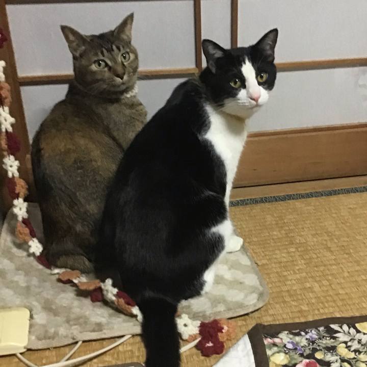 2a448cd7 beb3 411c 88cb bbf562379cde 1649079621360