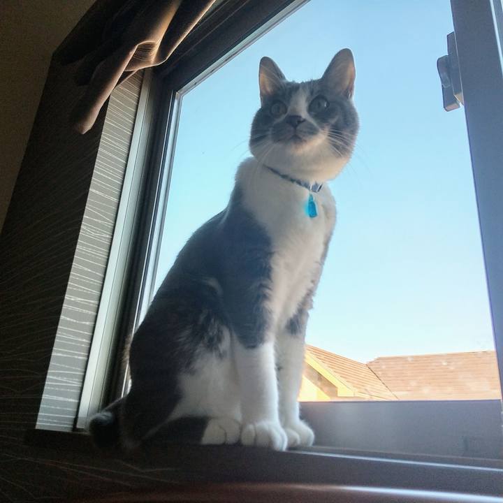 2a448d04 935c 4c25 bf77 77e81376469d 1608421905583