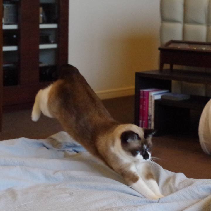 2a44d142 51cb 4d41 8a52 2780fff53836 1547090207938