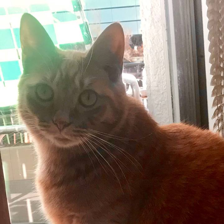 2a44e94f 449b 47d3 b754 b7630de9e574 1515219766575