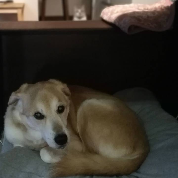 2a455a8e bef4 489c acc9 c909da8a6ffb 1579303002296