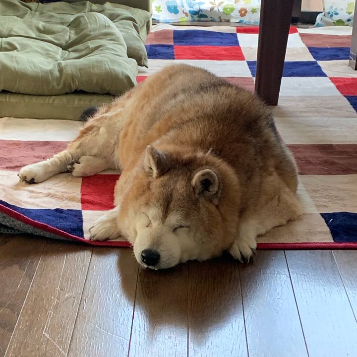 2a455f67 06f2 44d2 be73 82ad12ba201d 1653804923287