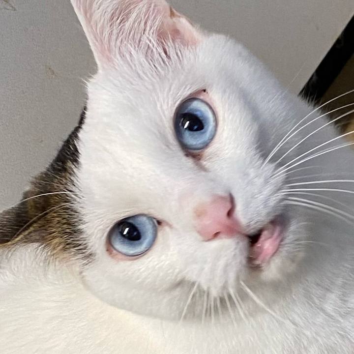 2a457cb5 d9e8 406a b7e2 7388157a8542 1670019944983