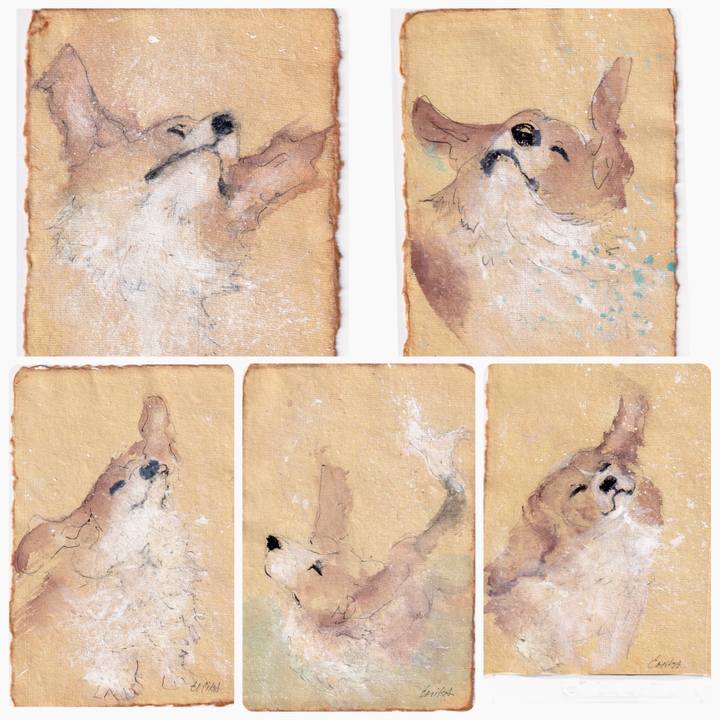 2a459c04 98b4 437d 8bc9 6511729fd537 1747389384437