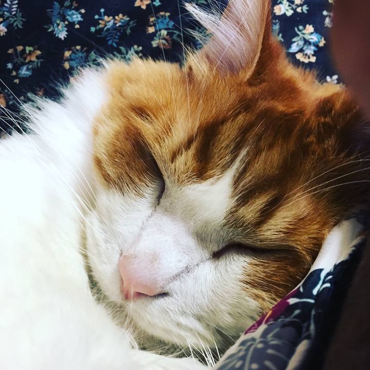 2a45f8e1 61a7 459d 9009 e0a43c2d1f26 1550735850579