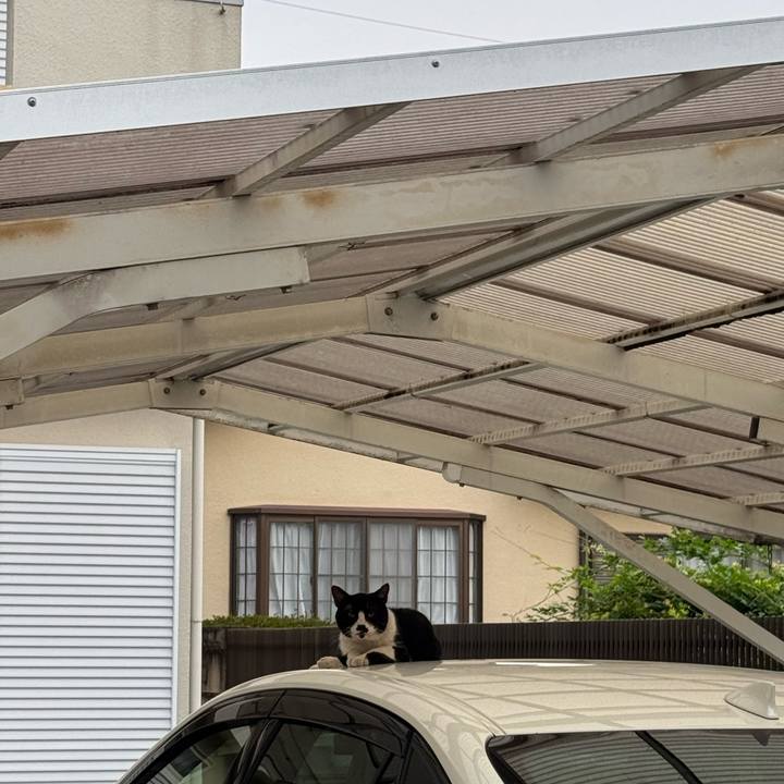 2a464917 d44b 4df4 90ee 2c4c0b9f6290 1754268924107