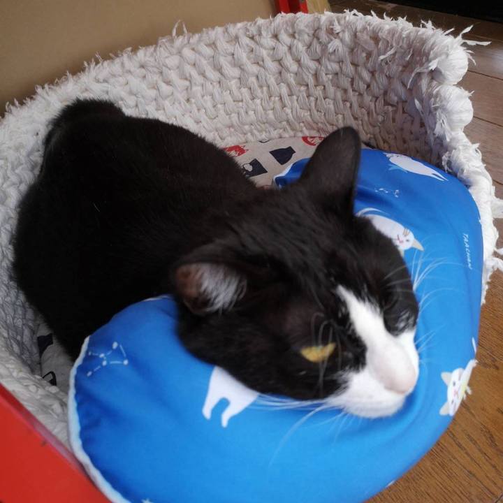 2a467cc1 087e 4dc1 86d5 f03c3c84b278 1623383143868