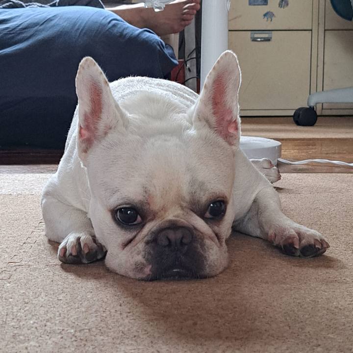 2a46848e 1378 495e a057 e9e05c6fce00 1691742190275