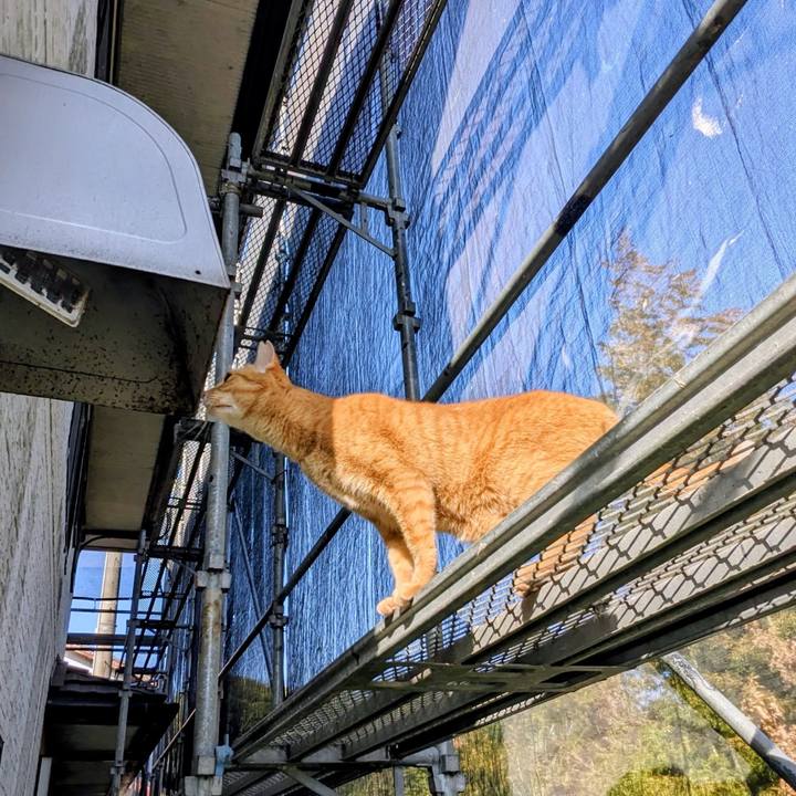 2a46a0a8 cd1b 420e 9589 2912e2687357 1771046415761