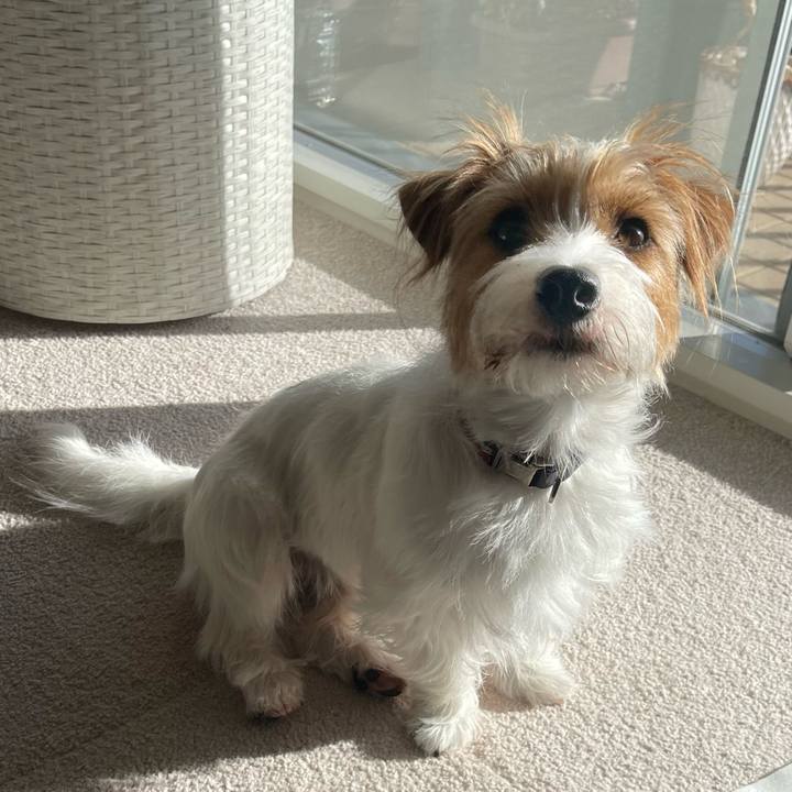 2a46a7c8 5d35 48ba af41 f29494465202 1773454590560