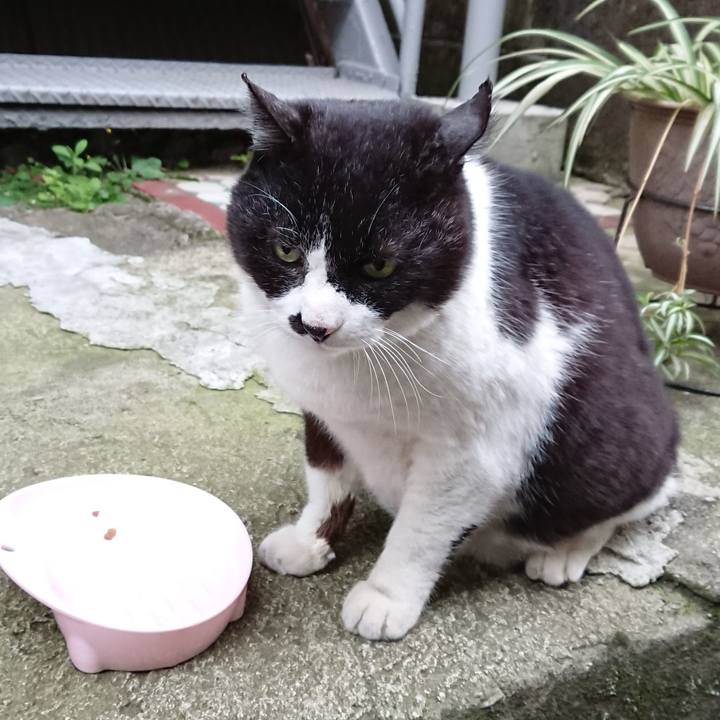 2a46b308 76af 4147 bdd1 3a1b9285165d 1682331767540