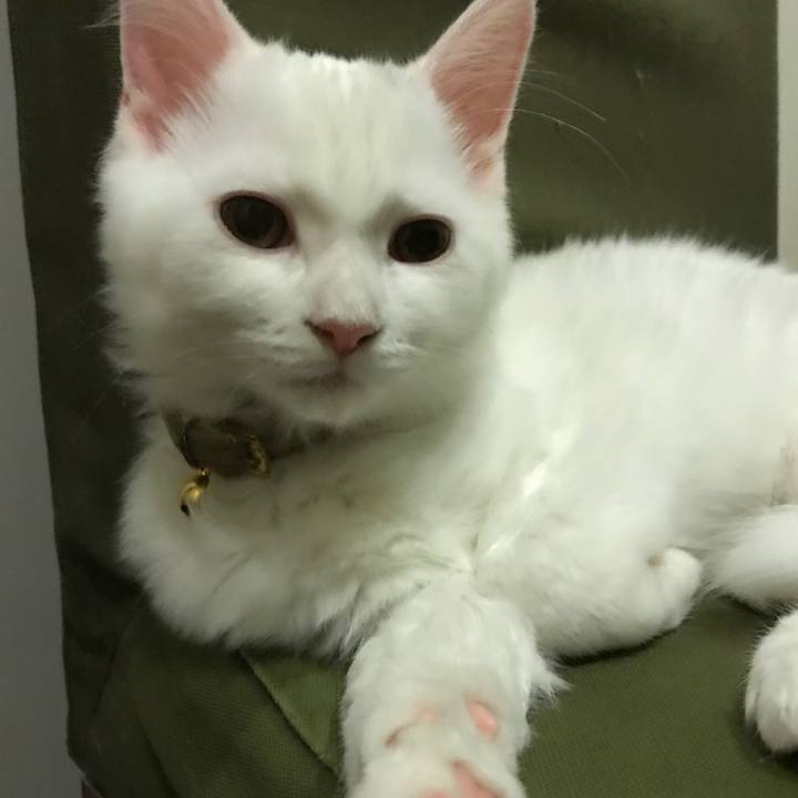 2a46d2b8 54ce 463c 85e5 c251a655fb15 1509619461843