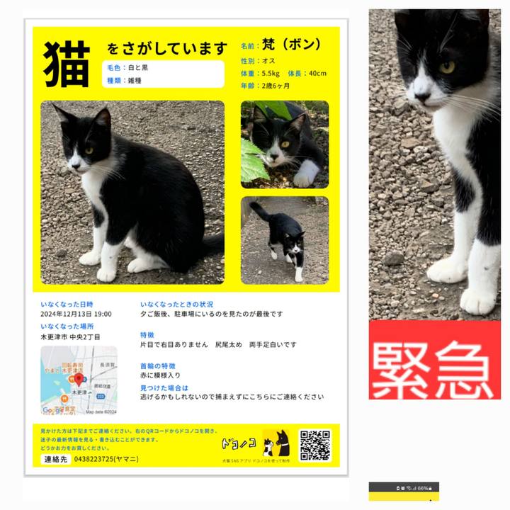 2a46d7c5 8351 41d5 8aae 0a7a2b516c33 1735001517406