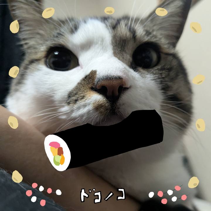 2a46e719 e11b 4de4 9768 b8c8022256f5 1741058671120