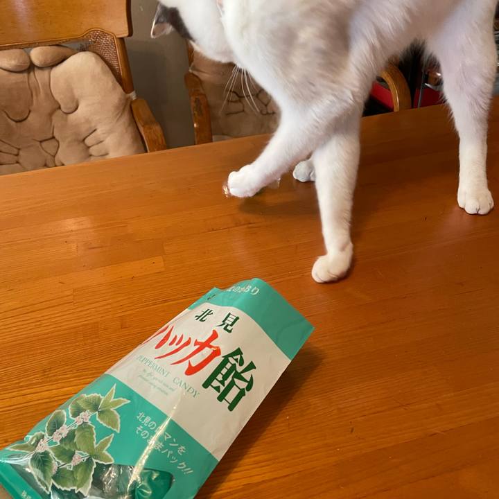 2a47095d 619e 4c47 9042 4f89f8a0ca3a 1734914799062