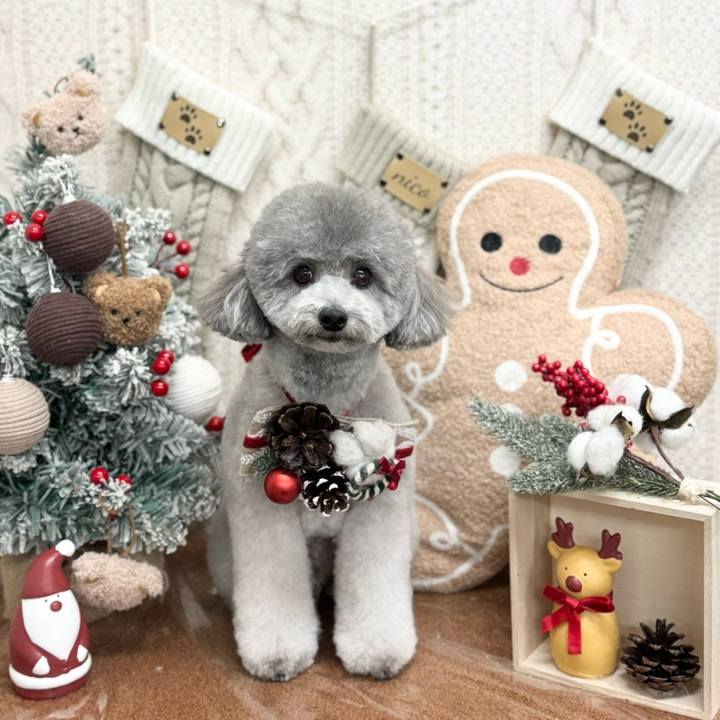 2a4720ea 66cc 4492 8ded 17efba0f637a 1766532968929