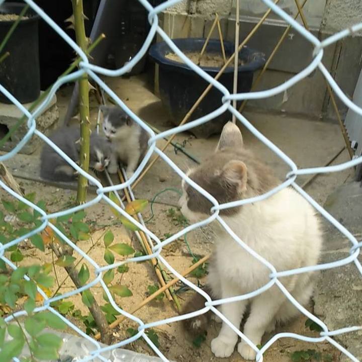 2a478a37 98d0 41f0 9df3 1bd8c3d65c9f 1684394071717