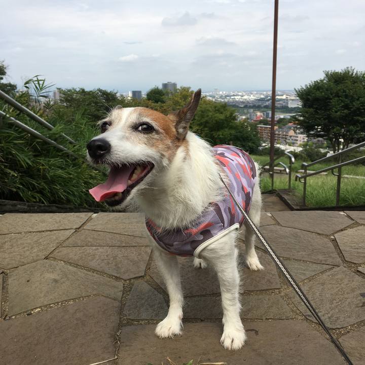 2a47c057 f963 4bbb 9e92 b0596102457e 1661042230281