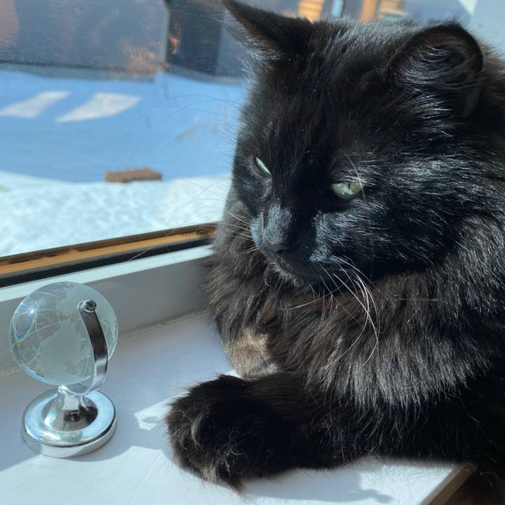 2a480d60 ad17 474f 82e6 0725674f9f45 1611720386710