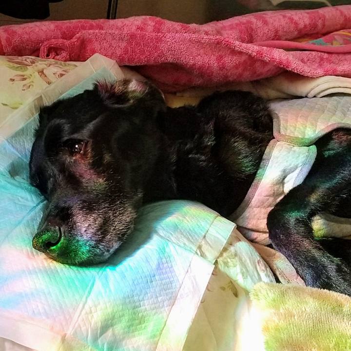 2a481fa1 20af 4987 8b12 1679428becdc 1732774692421